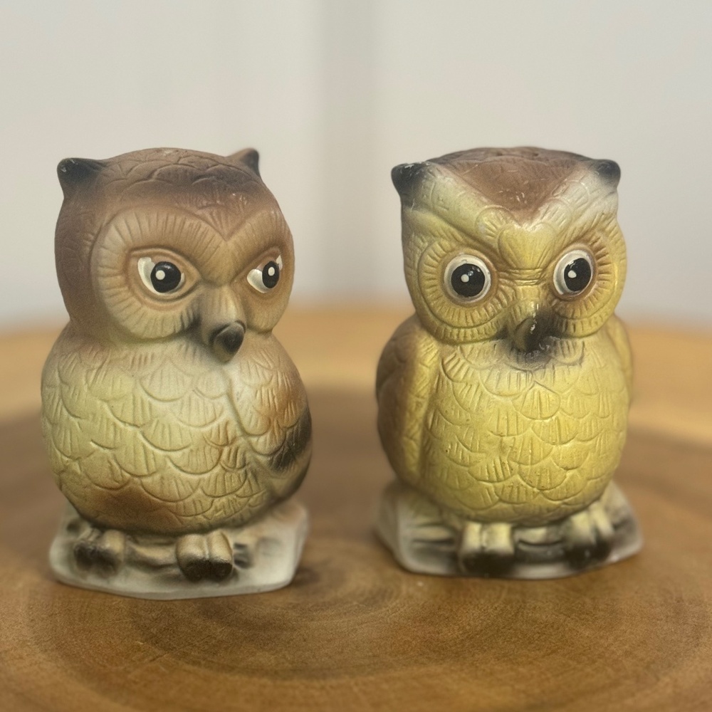 Vtg. Porcelain Owl Salt & Pepper Shakers